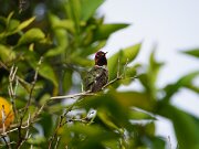 DSC06298