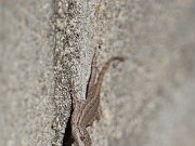 DSC08335
